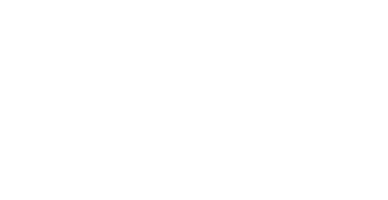 NAMIBIA TRADE NETWORK Logo